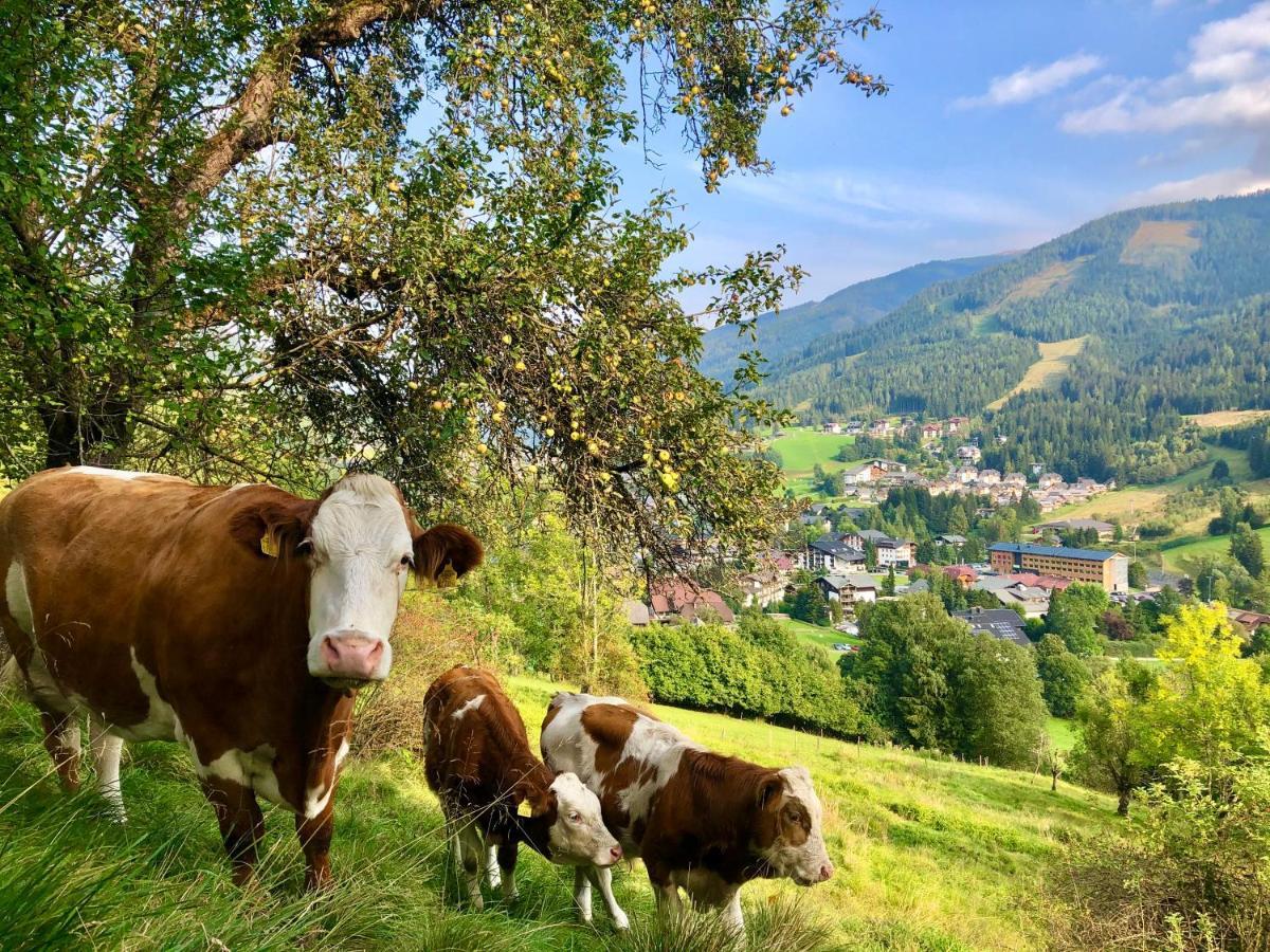 Feichterhof Bad Kleinkirchheim Exterior foto